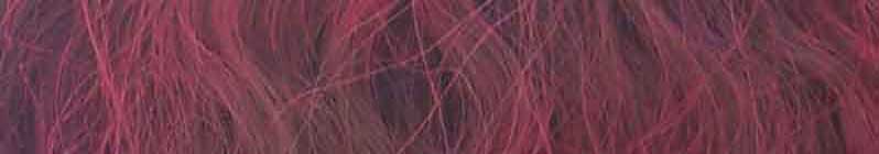 Electroniek Symphoniek Temp